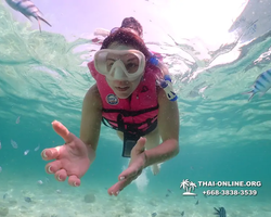 Underwater Odyssey snorkeling tour from Pattaya Thailand photo 18389