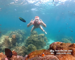 Underwater Odyssey snorkeling tour from Pattaya Thailand photo 14154