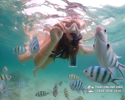 Underwater Odyssey snorkeling excursion in Pattaya Thailand photo 139