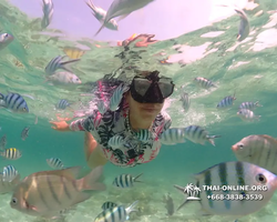 Underwater Odyssey snorkeling tour from Pattaya Thailand photo 18295