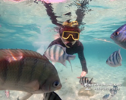 Underwater Odyssey snorkeling tour from Pattaya Thailand photo 14265