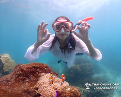 Underwater Odyssey snorkeling excursion in Pattaya Thailand photo 502