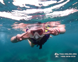 Underwater Odyssey snorkeling excursion in Pattaya Thailand photo 37