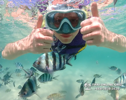 Underwater Odyssey snorkeling excursion Pattaya Thailand photo 19099