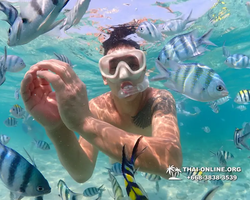 Underwater Odyssey snorkeling excursion Pattaya Thailand photo 11283