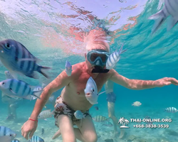 Underwater Odyssey snorkeling excursion Pattaya Thailand photo 11077