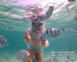 Underwater Odyssey snorkeling tour from Pattaya Thailand photo 18383