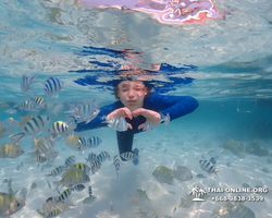 Underwater Odyssey snorkeling excursion in Pattaya Thailand photo 697