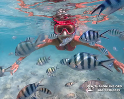 Underwater Odyssey snorkeling excursion in Pattaya Thailand photo 450