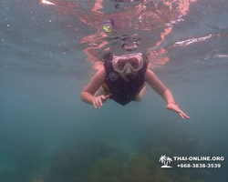 Underwater Odyssey snorkeling excursion in Pattaya Thailand photo 294