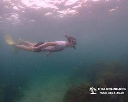 Underwater Odyssey snorkeling excursion in Pattaya Thailand photo 348