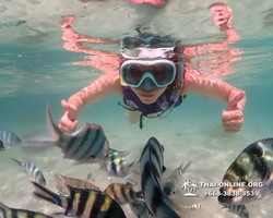 Underwater Odyssey snorkeling excursion Pattaya Thailand photo 19456