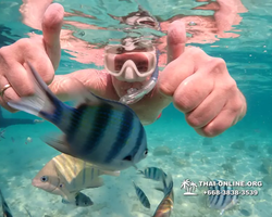 Underwater Odyssey snorkeling tour from Pattaya Thailand photo 14379