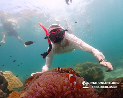 Underwater Odyssey snorkeling tour from Pattaya Thailand photo 18487