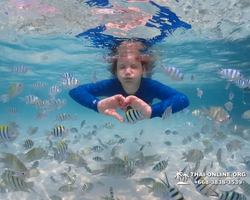 Underwater Odyssey snorkeling excursion in Pattaya Thailand photo 641