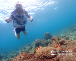 Underwater Odyssey snorkeling excursion Pattaya Thailand photo 11410