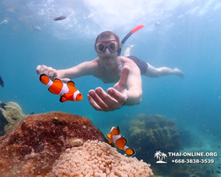 Underwater Odyssey snorkeling excursion in Pattaya Thailand photo 435