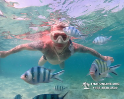 Underwater Odyssey snorkeling excursion Pattaya Thailand photo 11231