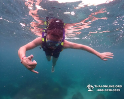 Underwater Odyssey snorkeling excursion in Pattaya Thailand photo 10