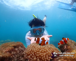 Underwater Odyssey snorkeling excursion in Pattaya Thailand photo 694