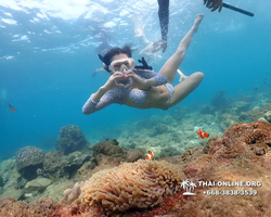 Underwater Odyssey snorkeling excursion Pattaya Thailand photo 11360