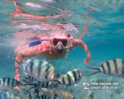 Underwater Odyssey snorkeling excursion Pattaya Thailand photo 11140