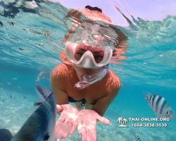 Underwater Odyssey snorkeling excursion Pattaya Thailand photo 10970
