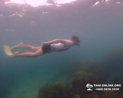 Underwater Odyssey snorkeling excursion in Pattaya Thailand photo 356