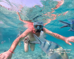 Underwater Odyssey snorkeling excursion Pattaya Thailand photo 11082