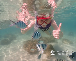 Underwater Odyssey snorkeling excursion Pattaya Thailand photo 19516