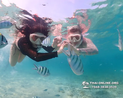 Underwater Odyssey snorkeling excursion Pattaya Thailand photo 11196