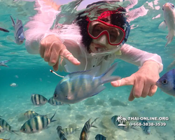 Underwater Odyssey snorkeling tour from Pattaya Thailand photo 14144