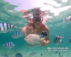 Underwater Odyssey snorkeling tour from Pattaya Thailand photo 18330