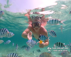 Underwater Odyssey snorkeling tour from Pattaya Thailand photo 18328