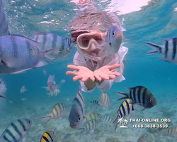 Underwater Odyssey snorkeling excursion Pattaya Thailand photo 11160