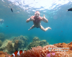 Underwater Odyssey snorkeling tour from Pattaya Thailand photo 14540
