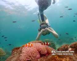 Underwater Odyssey snorkeling tour from Pattaya Thailand photo 18294