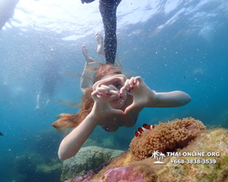 Underwater Odyssey snorkeling excursion Pattaya Thailand photo 11587