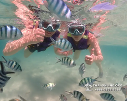 Underwater Odyssey snorkeling excursion Pattaya Thailand photo 19327