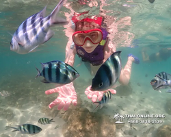 Underwater Odyssey snorkeling excursion Pattaya Thailand photo 19239