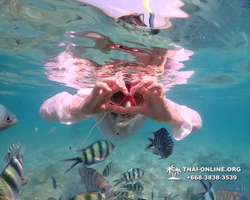 Underwater Odyssey snorkeling tour from Pattaya Thailand photo 14350