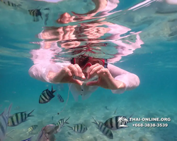Underwater Odyssey snorkeling tour from Pattaya Thailand photo 14553