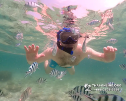 Underwater Odyssey snorkeling tour from Pattaya Thailand photo 18428