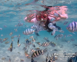 Underwater Odyssey snorkeling excursion in Pattaya Thailand photo 385