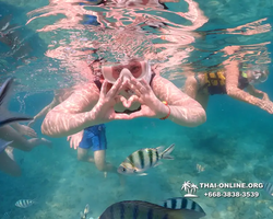 Underwater Odyssey snorkeling excursion Pattaya Thailand photo 11537