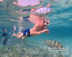 Underwater Odyssey snorkeling excursion Pattaya Thailand photo 11294