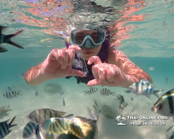 Underwater Odyssey snorkeling excursion Pattaya Thailand photo 19170