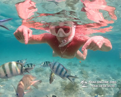 Underwater Odyssey snorkeling tour from Pattaya Thailand photo 14270