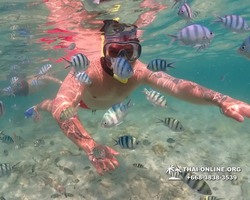 Underwater Odyssey snorkeling excursion Pattaya Thailand photo 14879