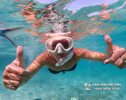 Underwater Odyssey snorkeling excursion Pattaya Thailand photo 10987